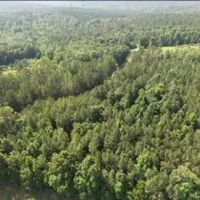 26.3 Acres in Choctaw County in Ackerman MS images 3