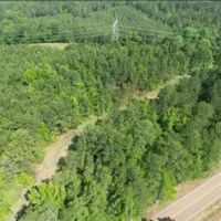 26.3 Acres in Choctaw County in Ackerman MS images 4