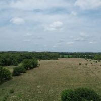50 acres - Hendricks County IN images 3