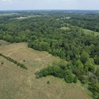 50 acres - Hendricks County IN images 5