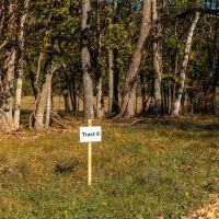 Piney Valley Estates-Tract 8 images 2