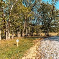 Piney Valley Estates-Tract 8 images 3
