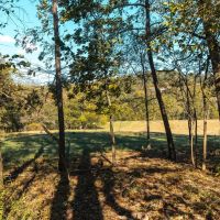 Piney Valley Estates-Tract 8 images 5