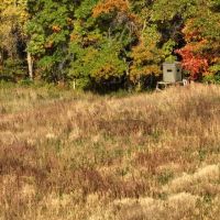 Country Home with Hunting Land for Sale in Juneau County WI images 2