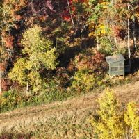 Country Home with Hunting Land for Sale in Juneau County WI images 3