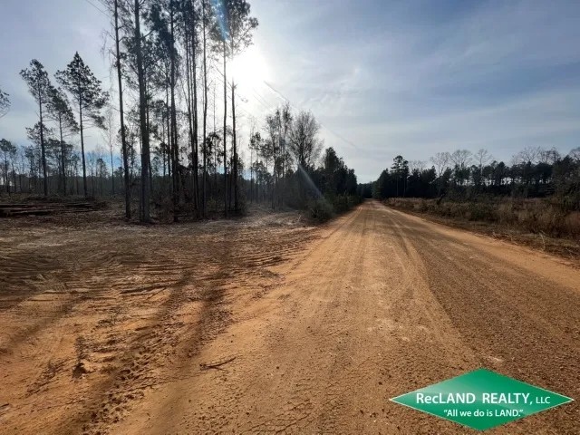 10.05 ac - Wooded Tract for Home Site Hunting featured image