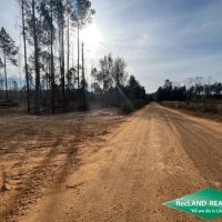 10.05 ac - Wooded Tract for Home Site Hunting