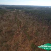10.05 ac - Wooded Tract for Home Site Hunting images 2