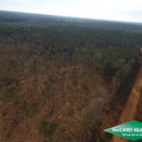 10.05 ac - Wooded Tract for Home Site Hunting images 3