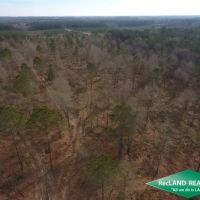 10.05 ac - Wooded Tract for Home Site Hunting images 4