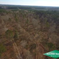 10.05 ac - Wooded Tract for Home Site Hunting images 5