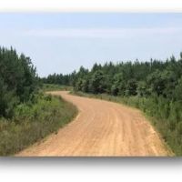 39.8 Acres in Attala County in Sallis MS images 2