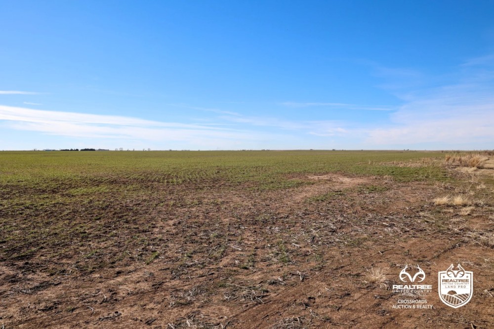 Kansas Farmland and Pasture Land Auction in Sumner County featured image