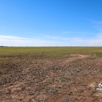 Kansas Farmland and Pasture Land Auction in Sumner County