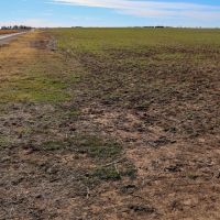 Kansas Farmland and Pasture Land Auction in Sumner County images 3