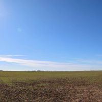 Kansas Farmland and Pasture Land Auction in Sumner County images 4