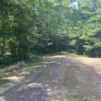 COLLINSTON 50 images 2