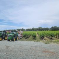 River Road Vineyards images 2