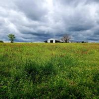 Whitton VZ Ranch images 3
