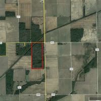 65 - Acres for sale in Butler County Missouri images 3
