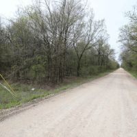 65 - Acres for sale in Butler County Missouri images 4