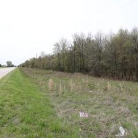 65 - Acres for sale in Butler County Missouri images 5
