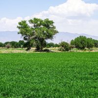Mountain View Farm images 2