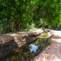 Mountain View Farm images 4