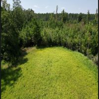 30.6 Acres in Stone County in Wiggins MS images 2