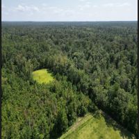30.6 Acres in Stone County in Wiggins MS images 3