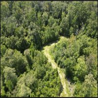 30.6 Acres in Stone County in Wiggins MS images 5