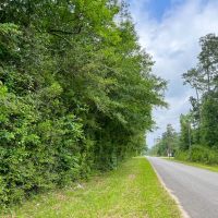 42 Acres Lester Caraway Rd. D-4 Silsbee Stake images 2
