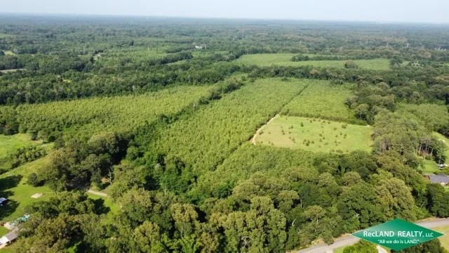 186.2 ac - Timberland Hunting with Home Site Potential featured image