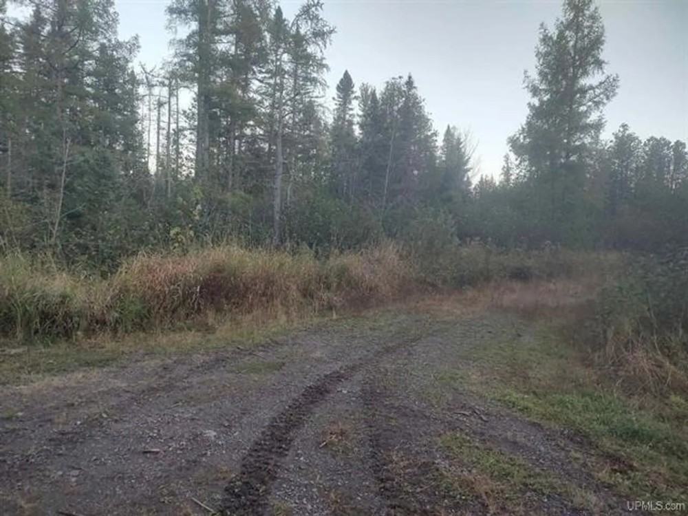 40 - Acres L Anse Twp 50125683 featured image