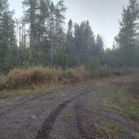 40 - Acres L Anse Twp 50125683
