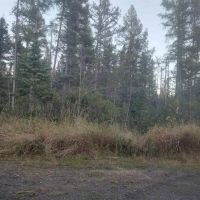 40 - Acres L Anse Twp 50125683 images 2