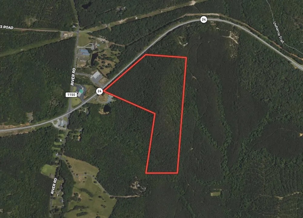46.06 acres of Timber and Hunting Land For Sale in Montgomery County NC featured image