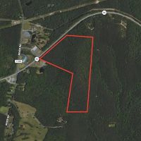 46.06 acres of Timber and Hunting Land For Sale in Montgomery County NC