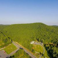 46.06 acres of Timber and Hunting Land For Sale in Montgomery County NC images 2