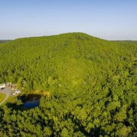 46.06 acres of Timber and Hunting Land For Sale in Montgomery County NC images 5