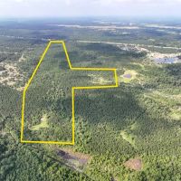 236 Acres IH-45N T-271006-2 images 2