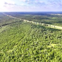 236 Acres IH-45N T-271006-2 images 3