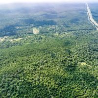 236 Acres IH-45N T-271006-2 images 4