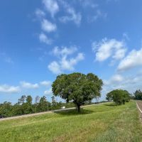 236 Acres IH-45N T-271006-2 images 5