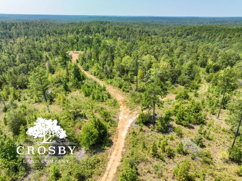 99 Road Tract West featured image