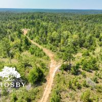 99 Road Tract West