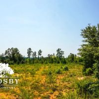 99 Road Tract West images 2
