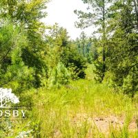 99 Road Tract West images 3