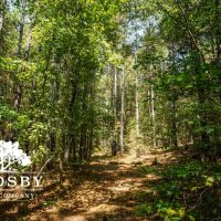 99 Road Tract West images 5