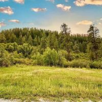 Pine Spring Ranch Splendor